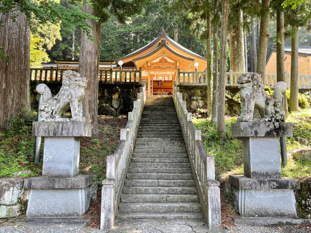 高賀神社 石段と狛犬