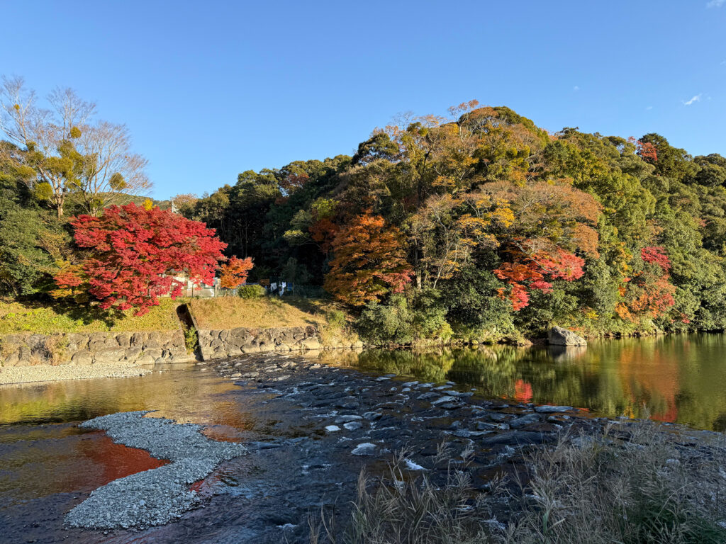 紅葉が色づく五十鈴川沿いを歩いて伊勢神宮内宮に向かいます。