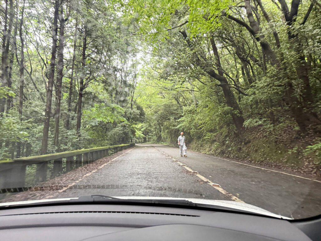 歩行者が車道を悠々と歩いています。