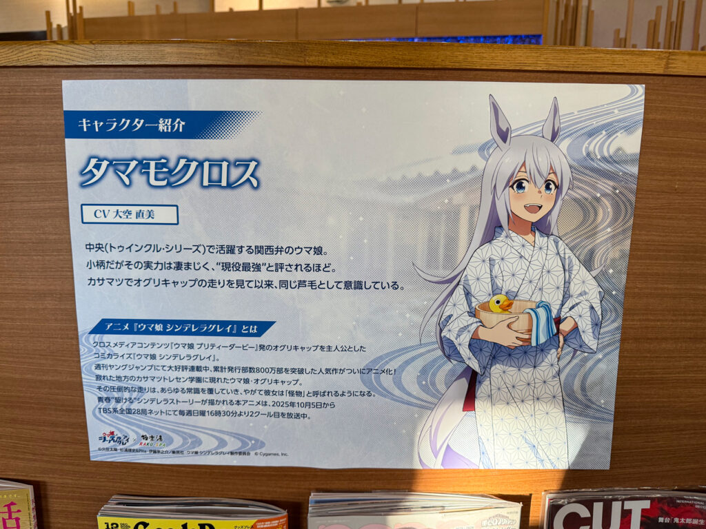 キャラクター紹介「タマモクロス」