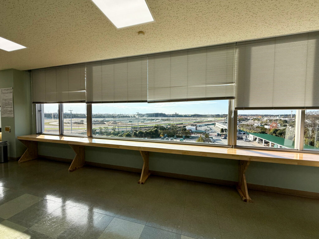 南調教馬場を一望できる展望スポット