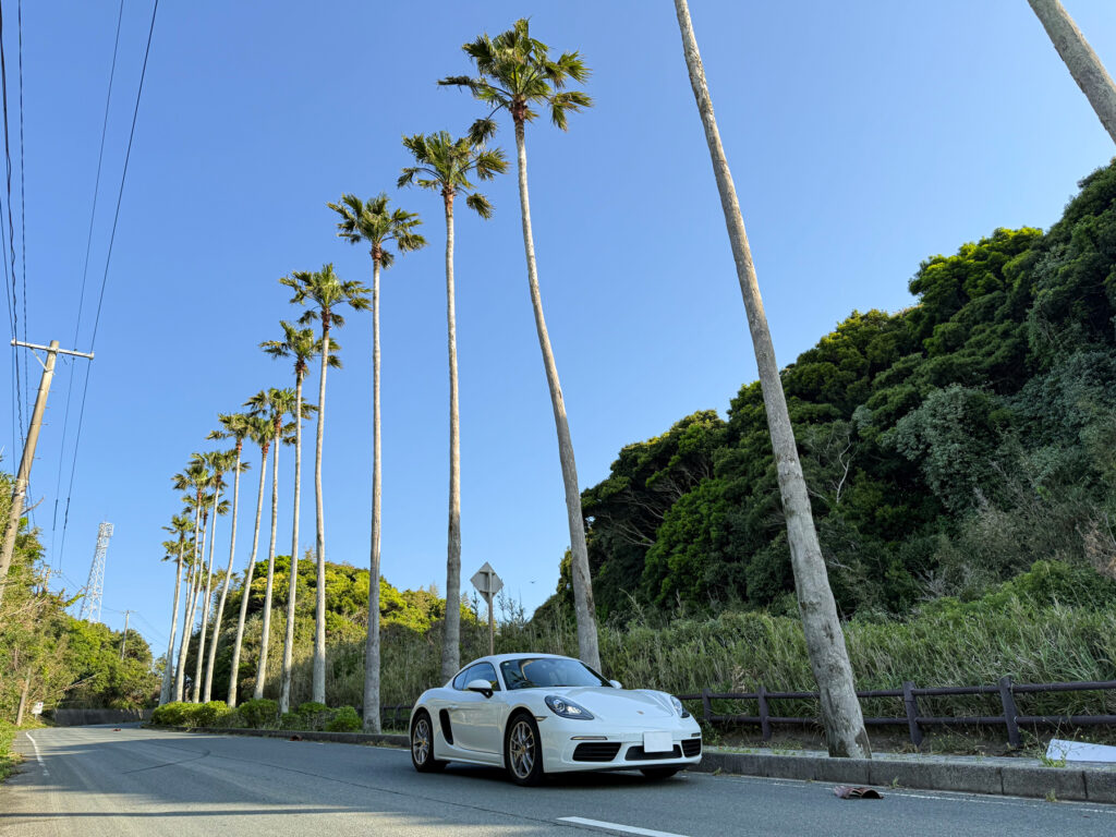 ヤシの木が並び、ちょっとアメリカ西海岸の雰囲気を味わえる雰囲気