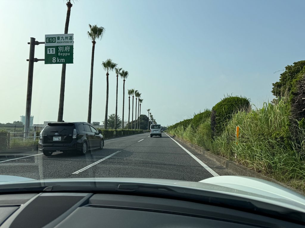九州の道路沿いによく見られるヤシの木が並ぶ景観