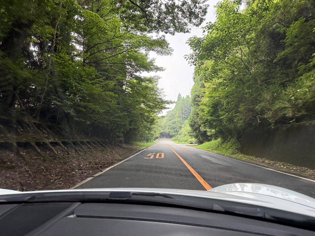 木立に囲まれた木漏れ日の直線道路