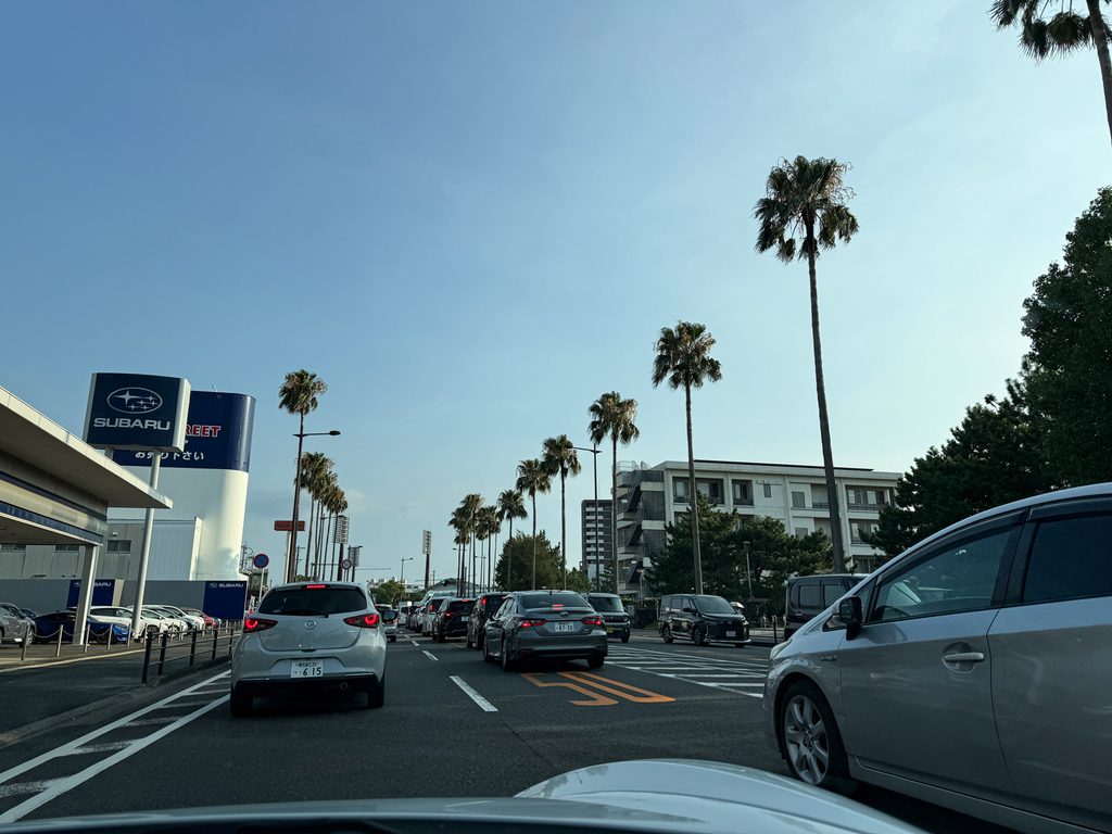 鹿児島市内到着。ヤシの木が九州の街並みを強く印象付けます。